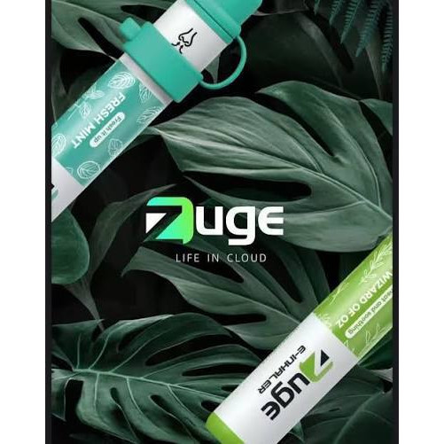 <p><strong>ZUGE/BOSS<br />
鼻通器,無丁</strong></p>